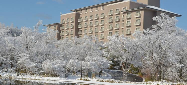 千叶科技园区大仓酒店(Okura Akademia Park Hotel)图片