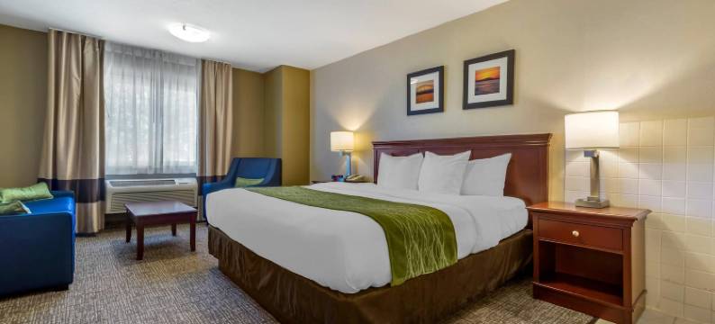 肯纳威克里奇兰舒适酒店(Comfort Inn Kennewick Richland)图片