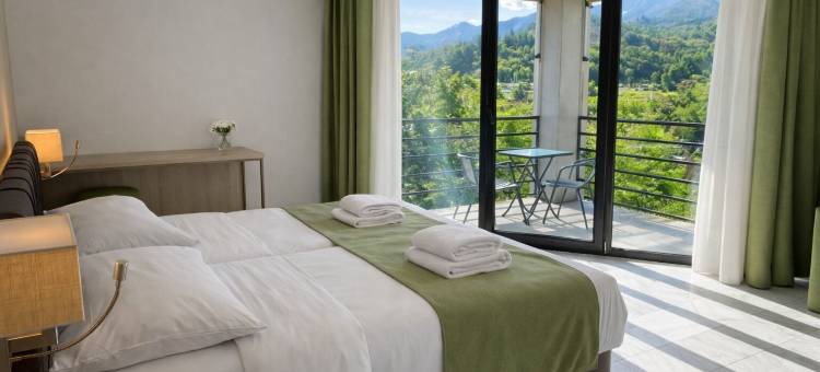 内西酒店洛迦诺(Hotel Nessi Locarno)图片
