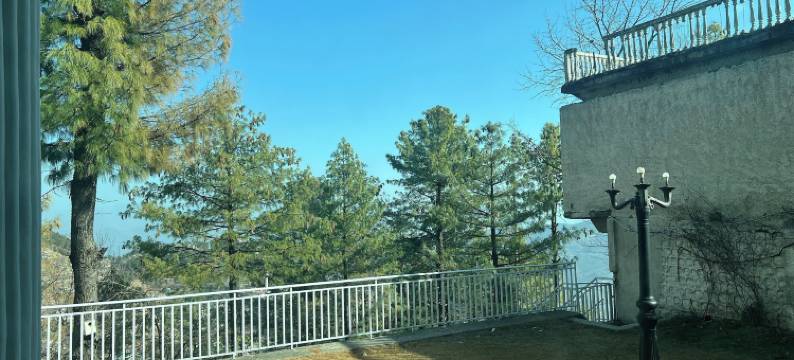 雪松与苏顿(Cedar & Sutoon)图片