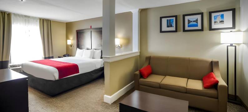 舒适套房酒店FM1960-Champions(Comfort Inn & Suites FM1960-Champions)图片