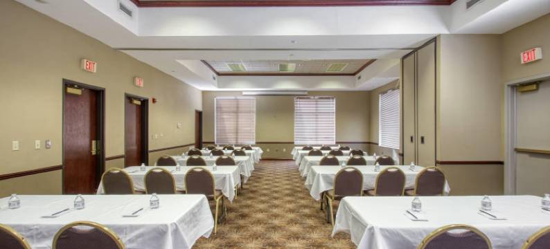 麦迪逊舒适套房酒店(Comfort Suites Madison West)图片