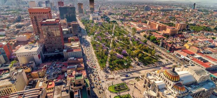 Crisol 套房 康德萨(Crisol Suites Condesa)图片