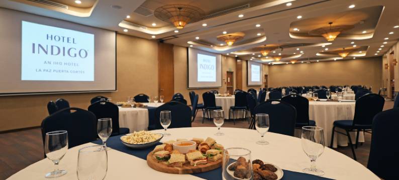 英迪格酒店 拉巴斯 普埃尔塔科尔特斯(Hotel Indigo LA PAZ PUERTA CORTES by IHG)图片