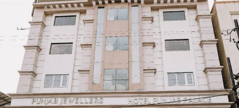旁遮普宫酒店(Hotel Punjab Palace)图片
