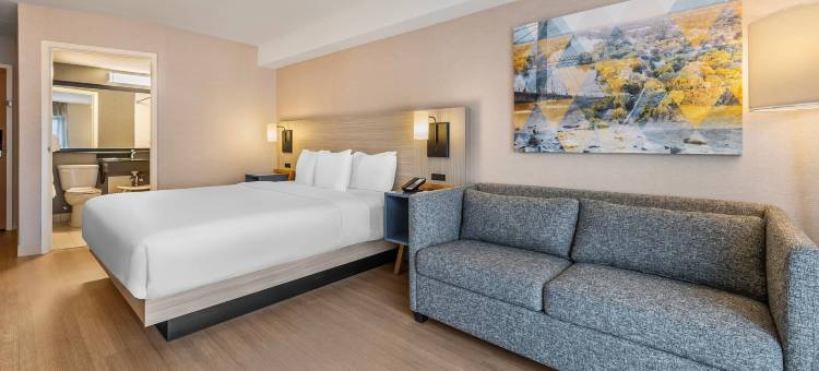 舒适酒店(Comfort Inn)图片