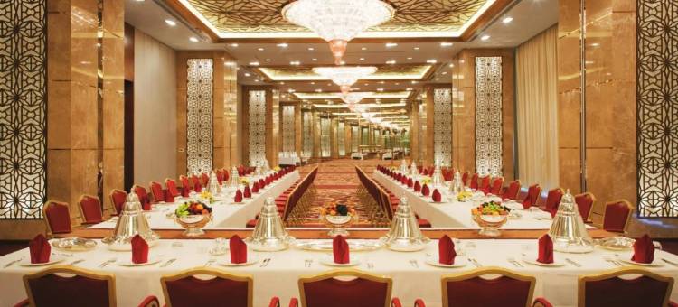 美伊丹酒店(The Meydan Hotel)图片