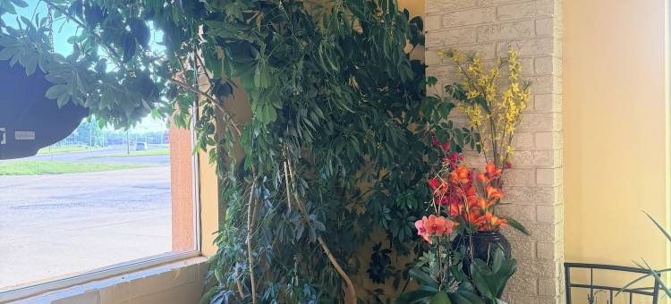 瑞格尔科菲维尔堪萨斯美国169号公路旅馆(Regal Inn Coffeyville KS US 169)图片