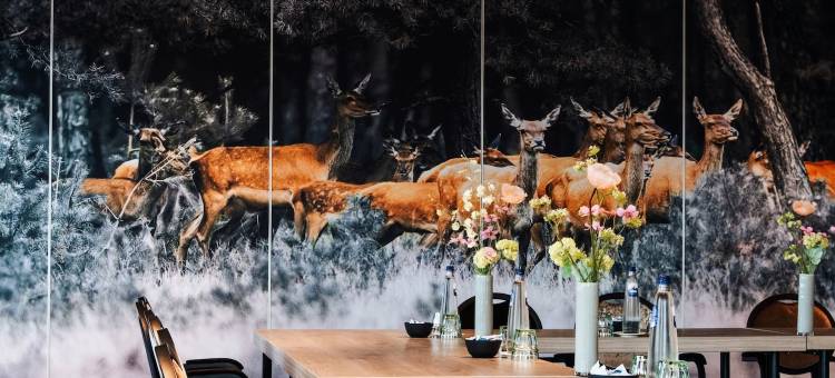 阿培尔顿范德瓦尔克酒店(Van der Valk Hotel Apeldoorn)图片