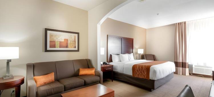 舒适酒店及套房-达拉斯市场中心(Comfort Inn & Suites Love Field-Dallas Market Center)图片