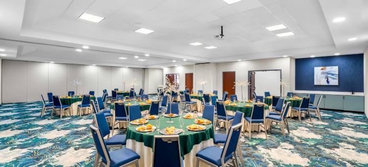 希尔顿花园酒店-卡特斯维尔(Hilton Garden Inn Cartersville)图片