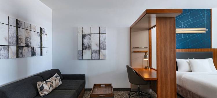 达拉斯理查森/普莱诺SpringHill Suites酒店(SpringHill Suites Dallas Richardson/Plano)图片