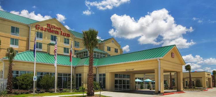 休斯顿皮尔兰希尔顿花园酒店(Hilton Garden Inn Houston-Pearland)图片