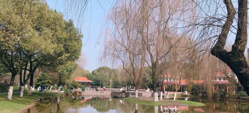 长沙金鸿宝宾馆图片