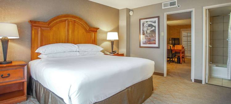 Embassy Suites by Hilton San Antonio NW I-10图片