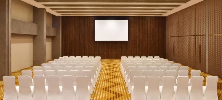 新德里航空城雅乐轩酒店(Aloft New Delhi Aerocity)图片