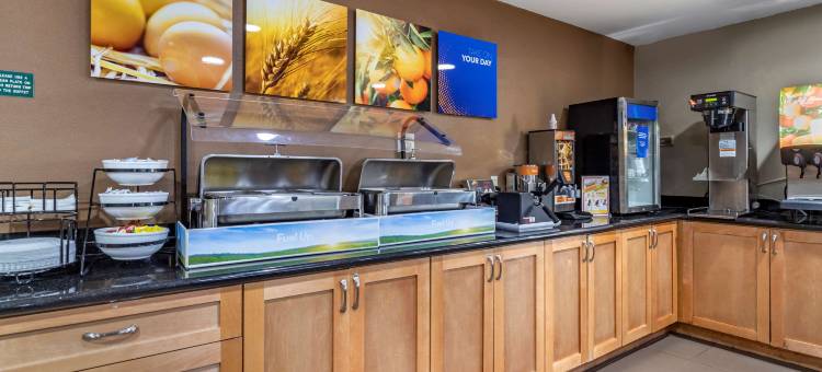 舒适套房酒店(Comfort Inn & Suites)图片