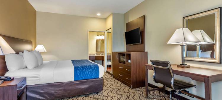 奥兰治县约翰韦恩机场舒适套房酒店(Comfort Inn & Suites Orange County John Wayne Airport)图片