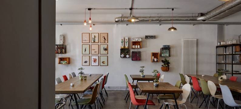 Underdog Hotel图片