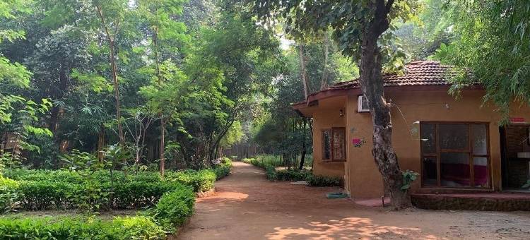 雷内斯特班德哈夫加尔草地酒店(Renest Bandhavgarh Meadows)图片
