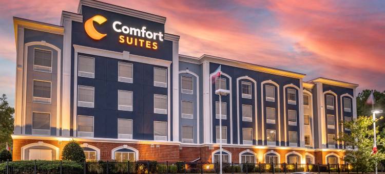 奥利夫布兰奇西舒适套房酒店(Comfort Suites Olive Branch - Memphis South)图片