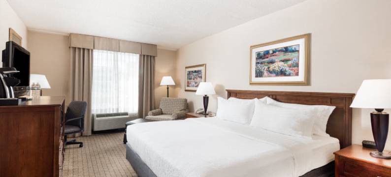 约翰斯敦格洛弗斯维尔假日酒店(Holiday Inn JOHNSTOWN-GLOVERSVILLE by IHG)图片
