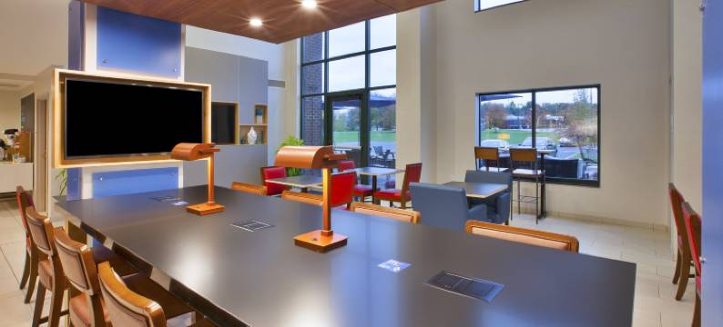 智选假日套房酒店罗切斯特VICTOR(Holiday Inn Express & Suites ROCHESTER-VICTOR by IHG)图片