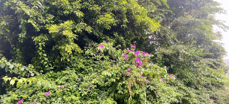 益友自助民宿(海裕路1号分店)图片