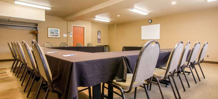 舒适套房酒店(Comfort Inn & Suites Shawinigan)图片