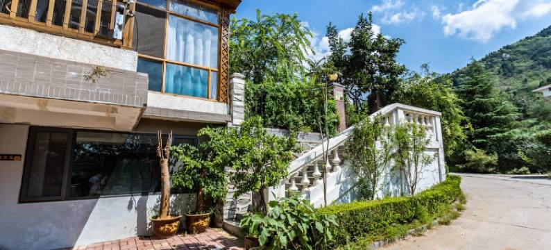 两个院子度假别墅(并药路分店)图片