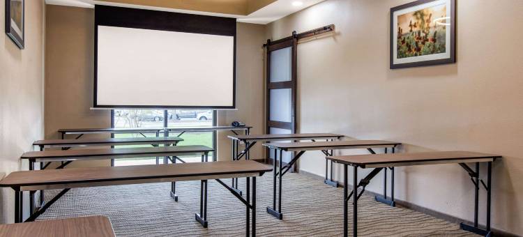 南奥斯汀舒适套房酒店(Comfort Suites - South Austin)图片