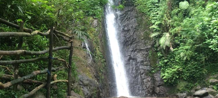 The Lavana Villa Marwah Puncak图片