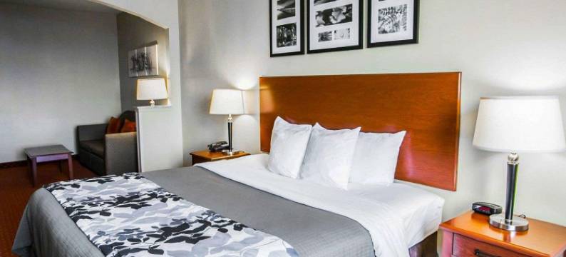 纽布朗费尔斯舒眠套房酒店(Sleep Inn & Suites New Braunfels)图片