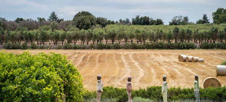 雷莱斯静谧自然生态度假村(Naturalis Bio Resort)图片