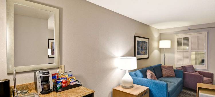 奥兰多市中心希尔顿安泊酒店(Embassy Suites by Hilton Orlando Downtown)图片