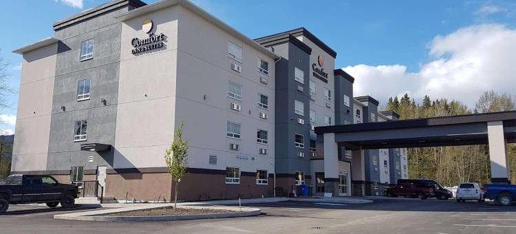 舒适套房酒店(Comfort Inn & Suites)图片