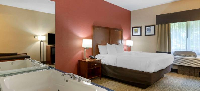 舒适套房酒店杰克逊北(Comfort Inn & Suites Jackson North)图片