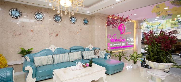 西贡瓦伦丁酒店(Valentine Hotel Saigon - Bui Vien Street)图片