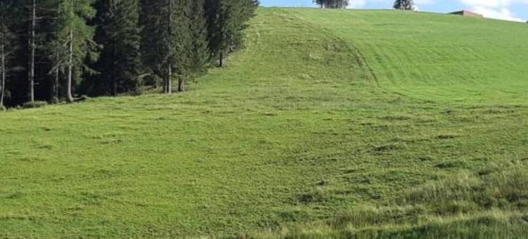 Gasthof Klug Zum Ehrensepp图片