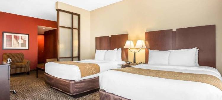 查尔斯顿西阿什利舒适套房酒店(Comfort Suites Charleston West Ashley)图片