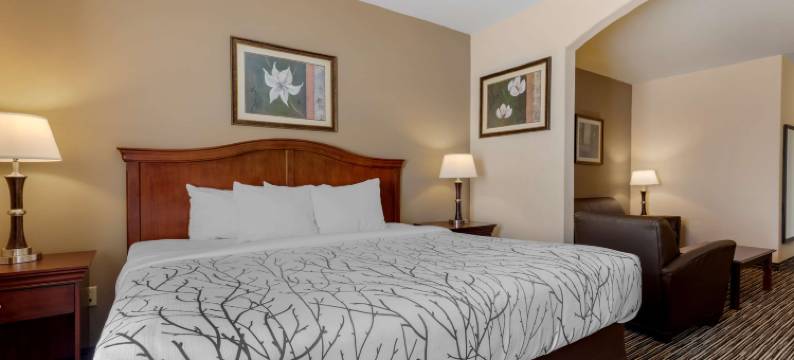 斯威特沃特贝斯特韦斯特优质套房酒店(Best Western Plus Sweetwater Inn  Suites)图片