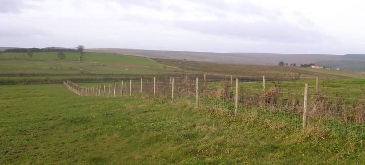 连合假期住宿加早餐旅馆(Joined-up Holidays)图片