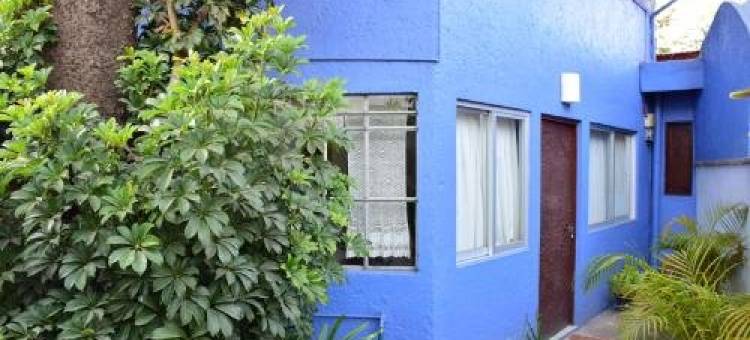 La Casa de las Magnolias图片