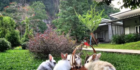 V谷度假村