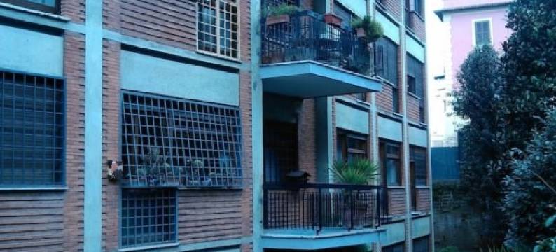 穹顶之下旅馆(Home under The Dome)图片