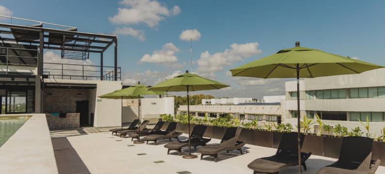 卡莱塔旅舍屋顶泳池酒店(Caleta Hostel)图片