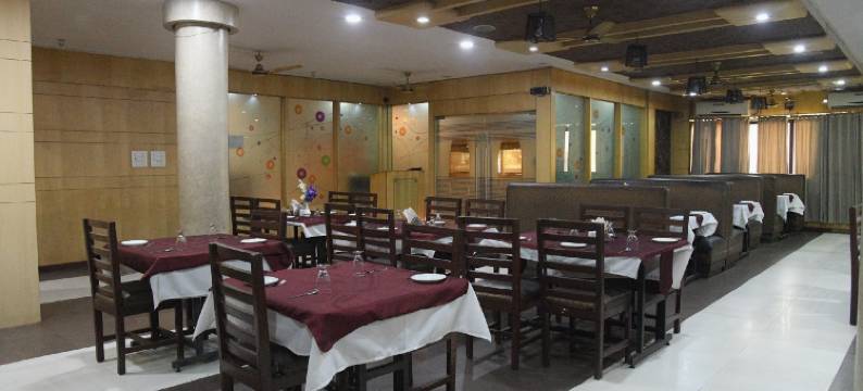 维纳亚克宫酒店(Hotel Vinayak Palace)图片