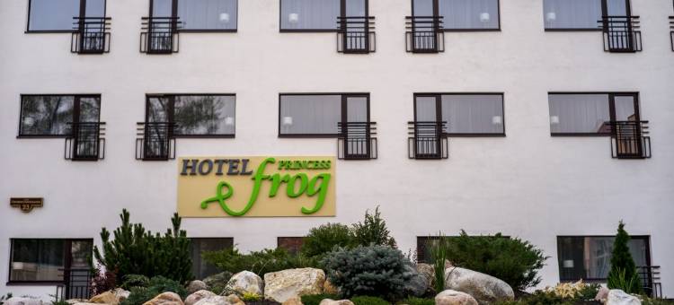 公主青蛙酒店(Princess Frog Hotel)图片