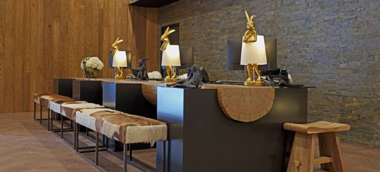 埃克林布兰科维尔酒店(Ecrin Blanc Resort Courchevel - Aquapark)图片