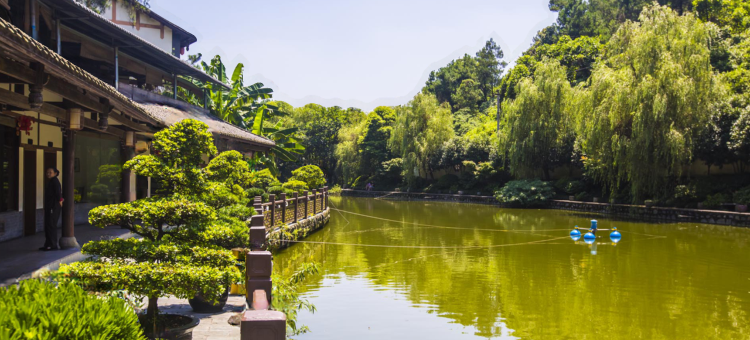 重庆枫香园度假酒店图片